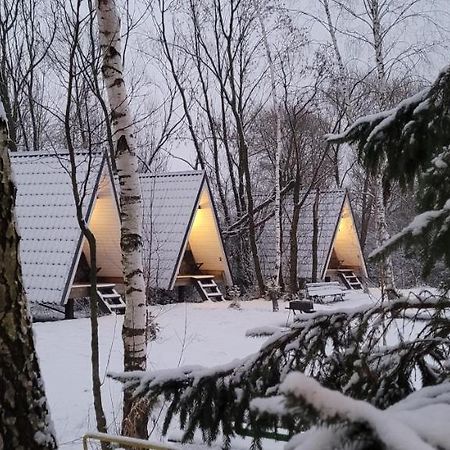 Vigio Brasta Camping Електренай Екстер'єр фото
