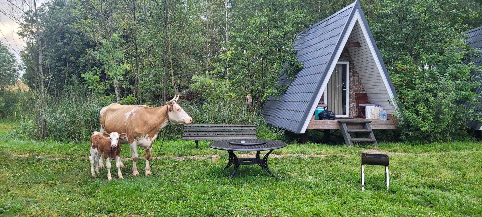 Vigio Brasta Camping Електренай Екстер'єр фото
